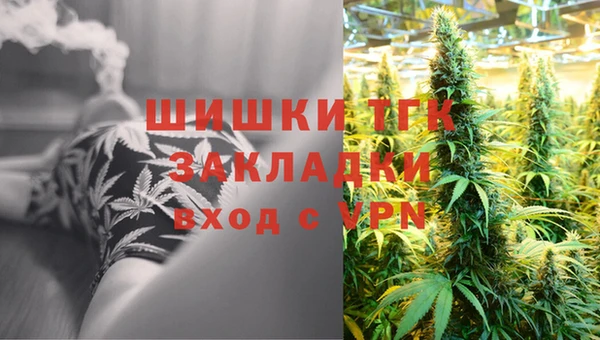 молекула духа Горняк