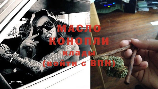 молекула духа Горняк