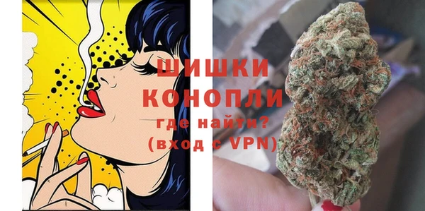молекула духа Горняк