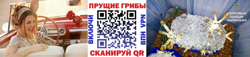 Псилоцибиновые грибы MAGIC MUSHROOMS Клинцы