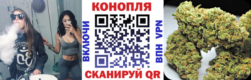 Купить закладки  Клинцы  Бошки Шишки AK-47 